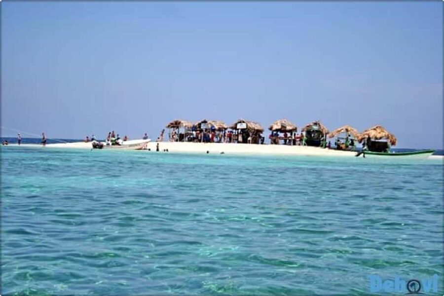 Puerto Plata: Cayo Arena Tour with Snorkeling and Mangroves - Key highlights you’ll care about