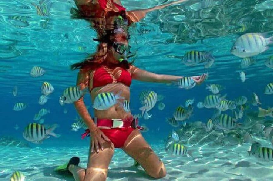Puerto Plata: Cayo Arena Tour with Snorkeling and Mangroves - The Big Picture: Reef Snorkeling plus Mangrove Waterways