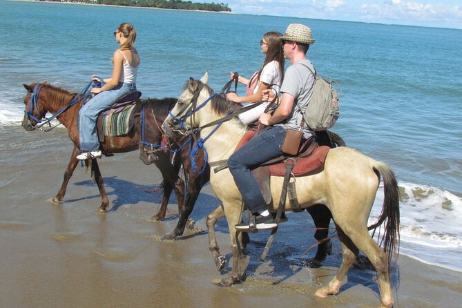 Puerto Plata City Horseback Riding Tour ,Rios,Beaches and Countryside - What the $58 price gets you, and why it can be good value