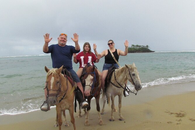 Puerto Plata City Horseback Riding Tour ,Rios,Beaches and Countryside - How to make the most of your time on the ground