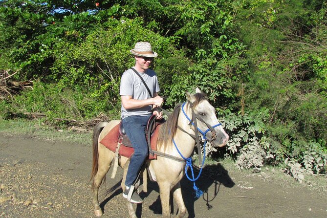Puerto Plata City Horseback Riding Tour ,Rios,Beaches and Countryside - Should you book this Puerto Plata horseback tour?