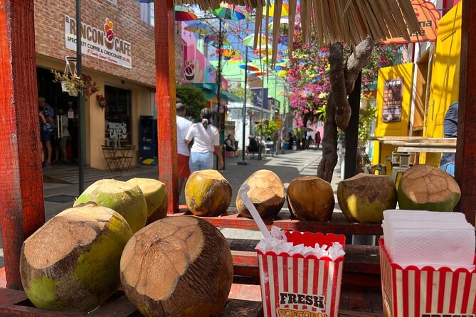Puerto Plata City Private Tour - Paseo de Doña Blanca: a short walk with a story