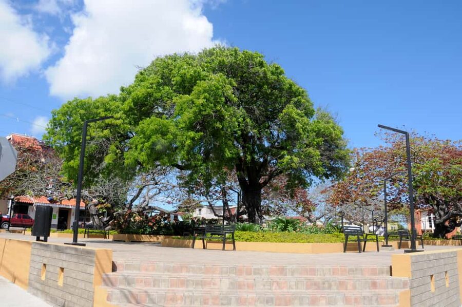 Puerto Plata City Tour and Cable Car Ride - Fitness, Comfort, and Who This Tour Really Suits
