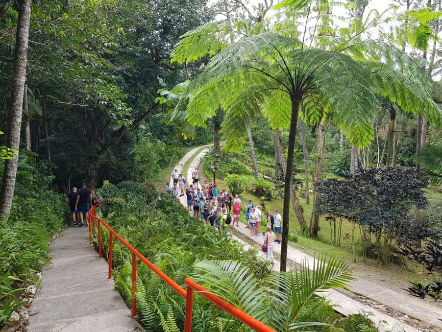 Puerto Plata: City Tour, Mountain and Lunch - Museo del Ambar Dominicano: A Quick Lesson Before the Views