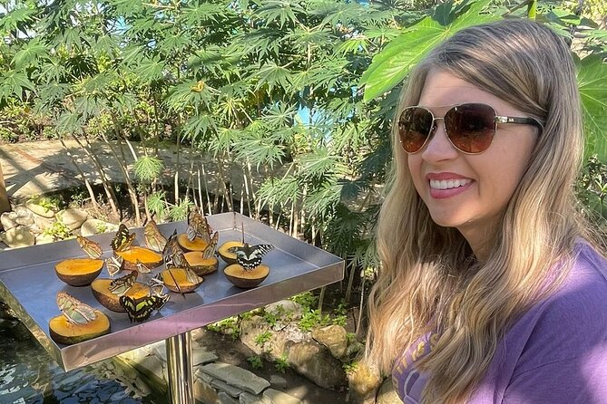 Puerto Plata City Tour with Butterfly Garden - Umbrella Street and Catedral San Felipe: where the camera does the talking