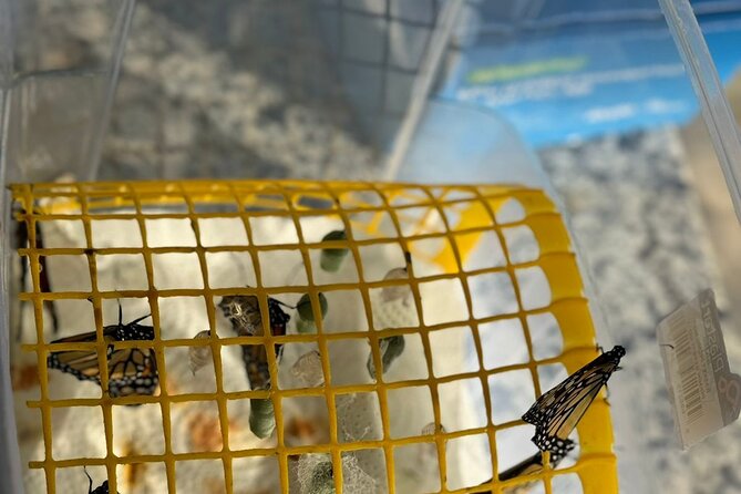 Puerto Plata City Tour with Butterfly Garden - What “included” actually feels like day-of