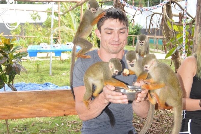 Puerto Plata City Tour with Monkeys - Key Highlights to Know Before You Go