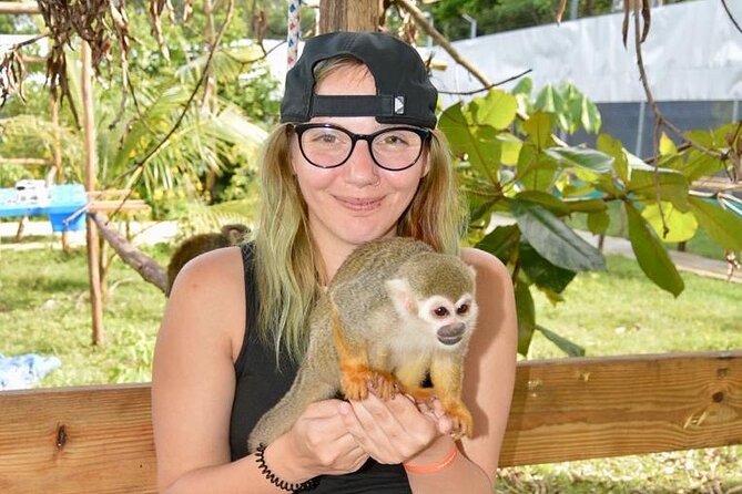 Puerto Plata City Tour with Monkeys - Getting Rolling: Pickup, Timing, and How to Prepare