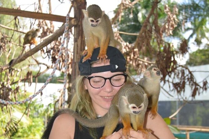 Puerto Plata City Tour with Monkeys - Amber Mini Museum and Gift Time: Easy Shopping Without the Tourist Panic
