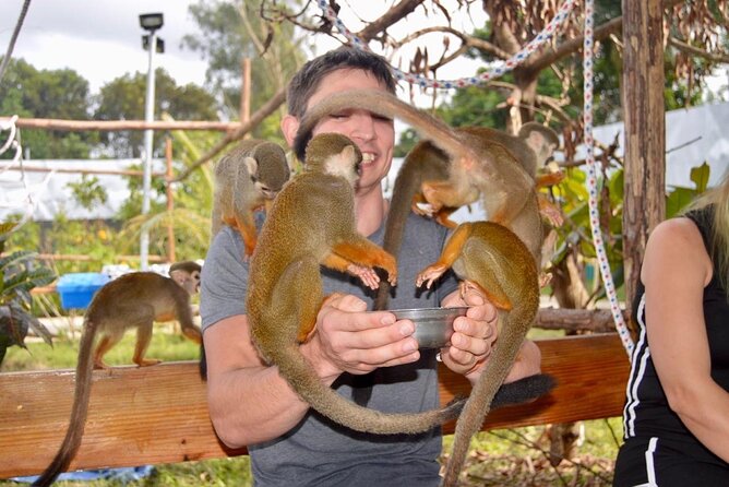 Puerto Plata City Tour with Monkeys - Imbert and Cevallos: Monkeys, Squirrels, and Fruit Plantations