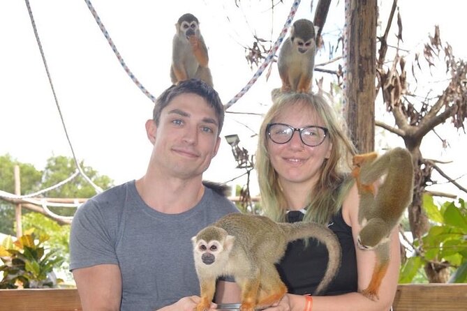 Puerto Plata City Tour with Monkeys - Macori Rum Factory and Chocolate Factory: Local Brands, Not Museum-Only Stops