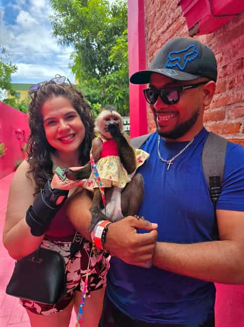 Puerto Plata: City Tour with Rum and Chocolate Factories - Choc Lovers DR: Dominican Organic Chocolate You Can Actually Taste