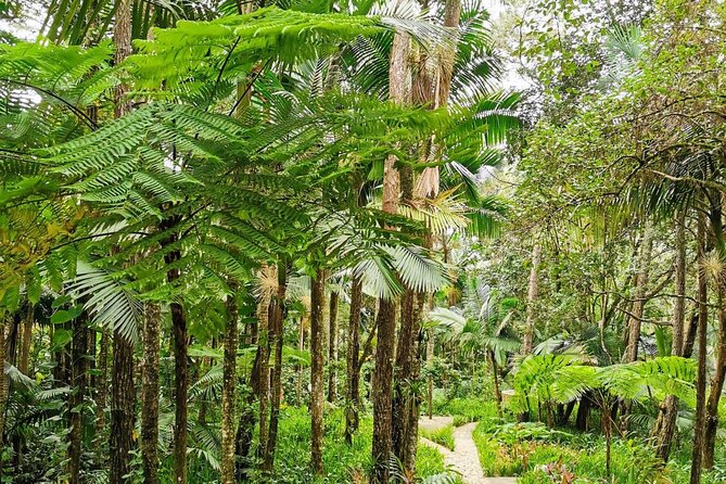Puerto Plata City Tour with the Mount Isabel, Rum & Chocolate - Mount Isabel de Torres, Cable Car Reality Check, and the Botanical Garden