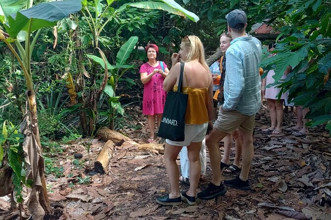 Puerto Plata Cultural City Tour – Half Day Experience - Camacho Beach: Quiet Break Time, Not a Big Excursion