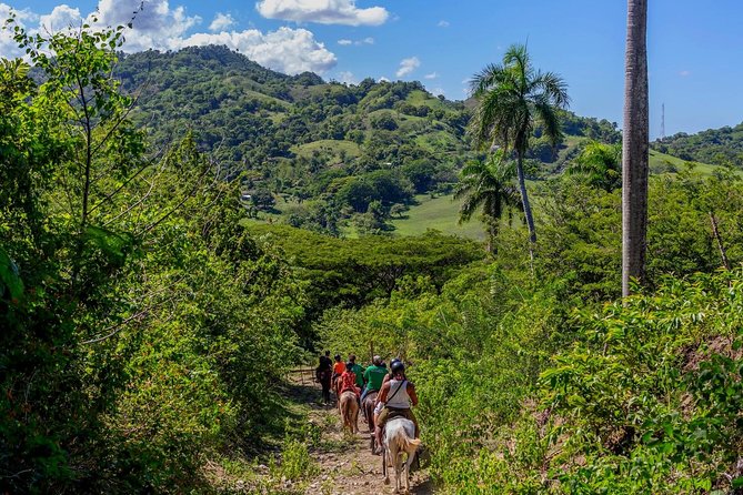 Puerto Plata: Damajagua waterfalls + Safari buggy + Horseback riding (TOP3IN1) - Getting there: hotel pickup, start time, and how the day flows