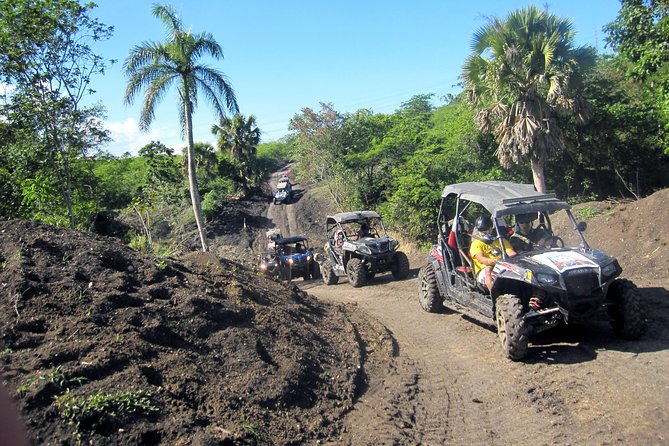 Puerto Plata: Damajagua waterfalls + Safari buggy + Horseback riding (TOP3IN1) - Private tour vs group limits: how “personal” usually works here