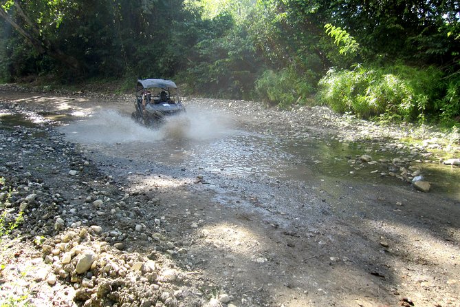 Puerto Plata: Damajagua waterfalls + Safari buggy + Horseback riding (TOP3IN1) - Guides and what “excellent” looks like in practice
