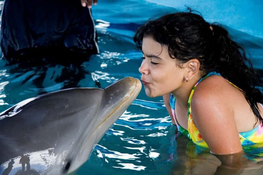 Puerto Plata: Dolphin Encounter at Ocean World - Puerto Plata Dolphin Encounter: The Real Shape of the Day