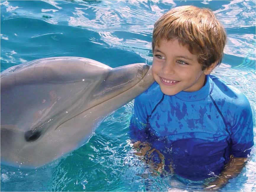 Puerto Plata: Dolphin Encounter at Ocean World - Ocean World Day Pass: Snorkeling, Beach Time, and the Big Lagoon