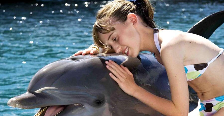 Puerto Plata: Dolphin Encounter at Ocean World - The Shows: Dolphin, Shark, Sea Lions, and Tropical Birds