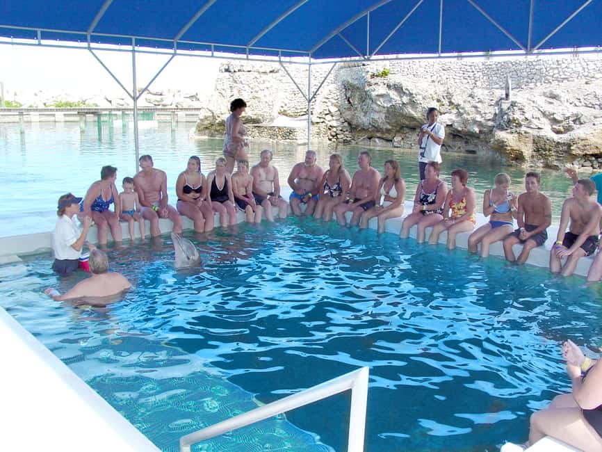 Puerto Plata: Dolphin Encounter at Ocean World - Lunch and What’s Actually Included (So You Don’t Get Surprised)