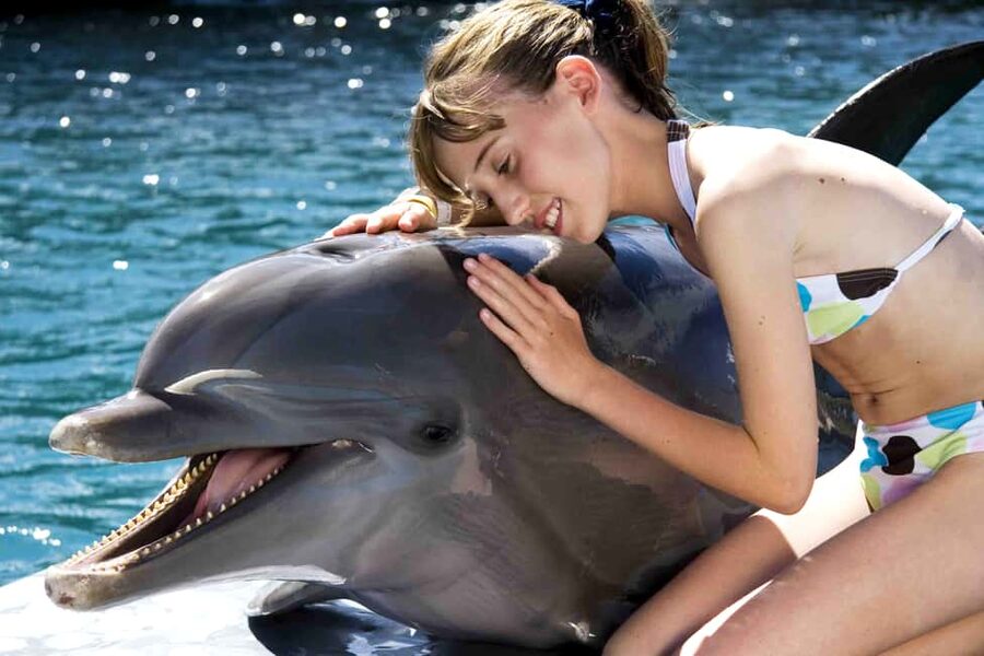 Puerto Plata: Dolphin Encounter at Ocean World - The Dolphin Lecture and 15-Minute Bottlenose Program