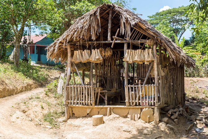 Puerto Plata: Escapada Cultural Tour in Puerto Plata - Pickup and Your Pace: What the 8-Hour Schedule Feels Like