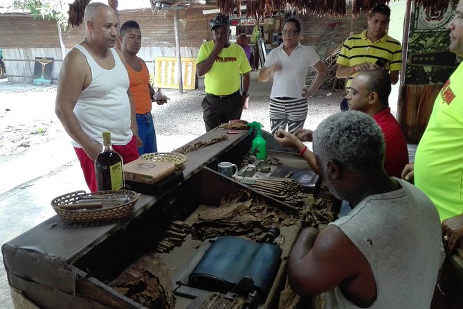 Puerto Plata: Escapada Cultural Tour in Puerto Plata - Organic Cacao Plantation to Chocolate Tasting