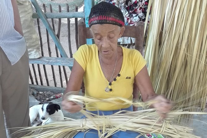 Puerto Plata: Escapada Cultural Tour in Puerto Plata - Value Check: What $78 Buys You Here