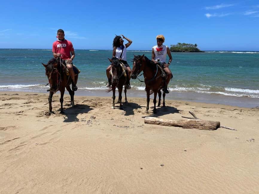 Puerto Plata: Horseback Riding Tour - The Ride Itself: From Countryside to Sea Breeze