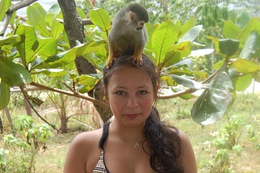 Puerto Plata: Monkey Tour, Fortress, and Historic Center - Price and value: what $100 gets you in real terms