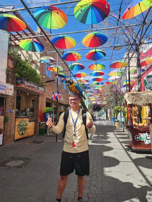 Puerto Plata: Monkey Tour, Fortress, and Historic Center - Pickup and getting started from Amber Cove or Taino Bay