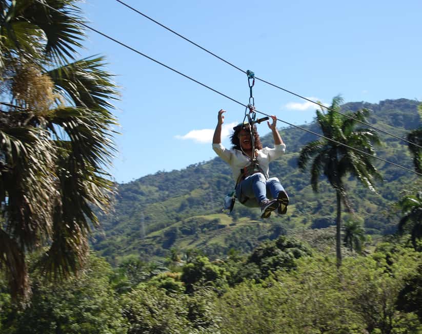 Puerto Plata: Monkeyland and Zip-Line Adventure - Monkeyland Right After the Rush: Squirrel Monkeys, Fruit, and Shiny-Object Wisdom