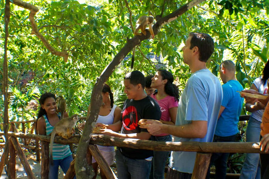 Puerto Plata: Monkeyland and Zip-Line Adventure - Who Should Book This (and Who Should Rethink It)