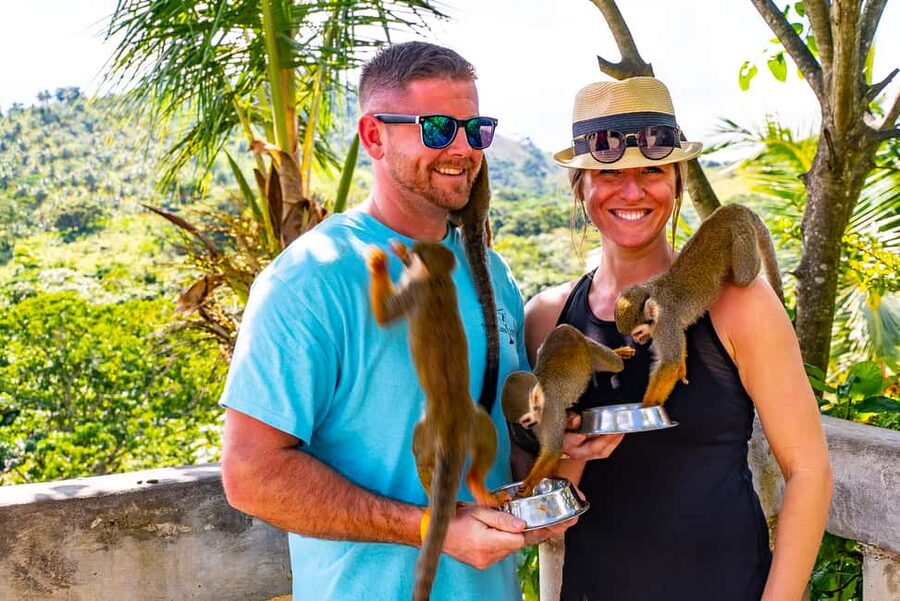 Puerto Plata: Monkeyland and Zip-Line Adventure - The Zip-Line Course: One Mile of Jungle Speed (With Help at Every Step)
