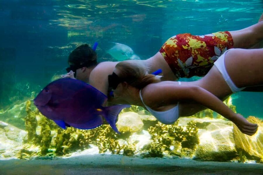 Puerto Plata: Ocean World Adventure Park Day Pass - Key Highlights You Should Know