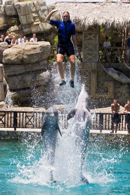 Puerto Plata: Ocean World Adventure Park Day Pass - Ocean World Puerto Plata: What a Day Pass Really Includes