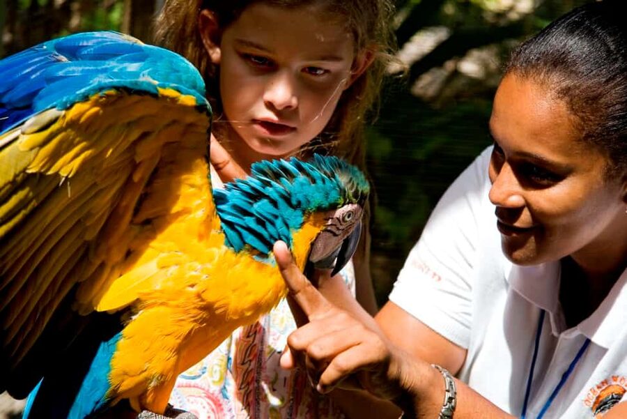 Puerto Plata: Ocean World Adventure Park Day Pass - Rainforest Walk, Bird Exhibit, and Iguana Habitat: The Best Pace Change