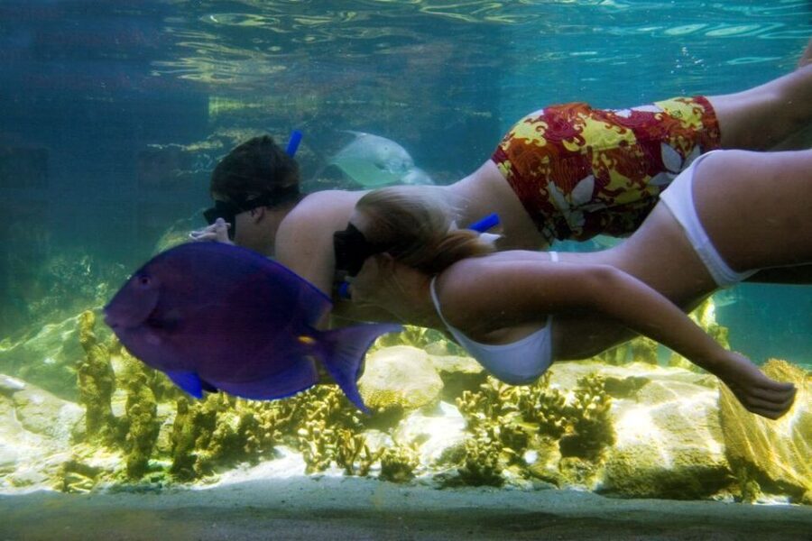 Puerto Plata: Ocean World Adventure Park Day Pass - Price and Value: Is $79 Worth It in Puerto Plata?
