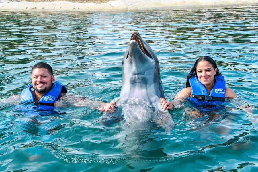 Puerto Plata: Ocean World Adventure Park Swim with Dolphins - Ocean World Puerto Plata: what this VIP dolphin day actually includes