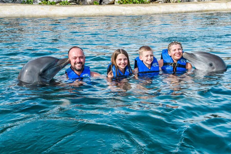 Puerto Plata: Ocean World Adventure Park Swim with Dolphins - Snorkeling in the reef aquarium: tropical fish without the open-water stress
