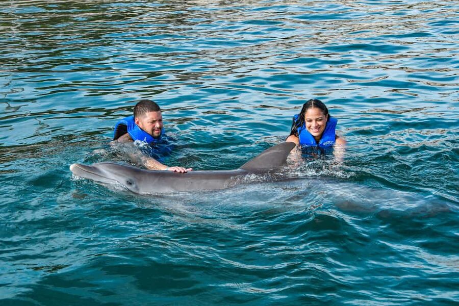 Puerto Plata: Ocean World Adventure Park Swim with Dolphins - The dolphin swim moment: lecture, lagoon ride, and the photo reality