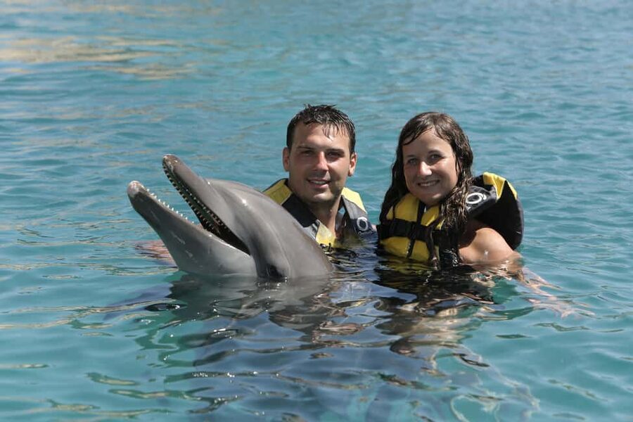 Puerto Plata Ocean World Dolphin Swim - Key things worth knowing before you go
