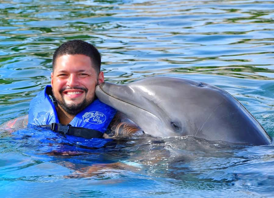 Puerto Plata Ocean World Dolphin Swim - Ocean World Puerto Plata: Why This Dolphin Swim Feels Different