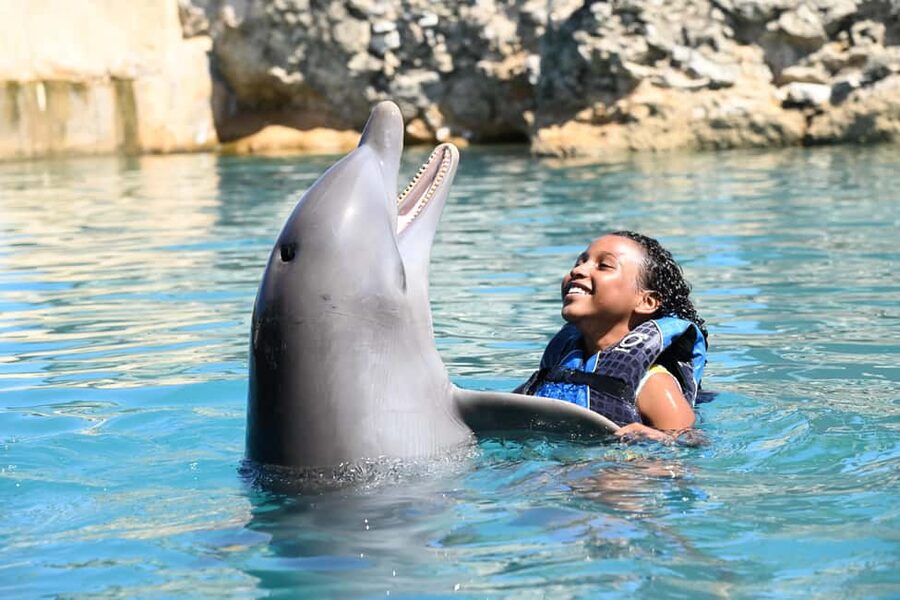 Puerto Plata Ocean World Dolphin Swim - The Full Day Game Plan: Swim + Aquarium Snorkeling + Day Pass