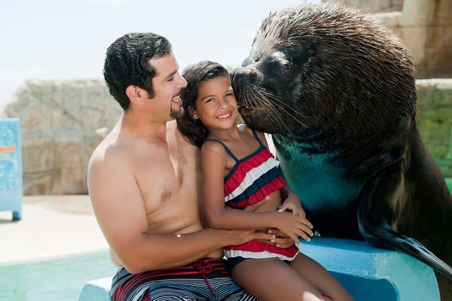 Puerto Plata Ocean World Tickets - Key highlights at Ocean World Puerto Plata tickets