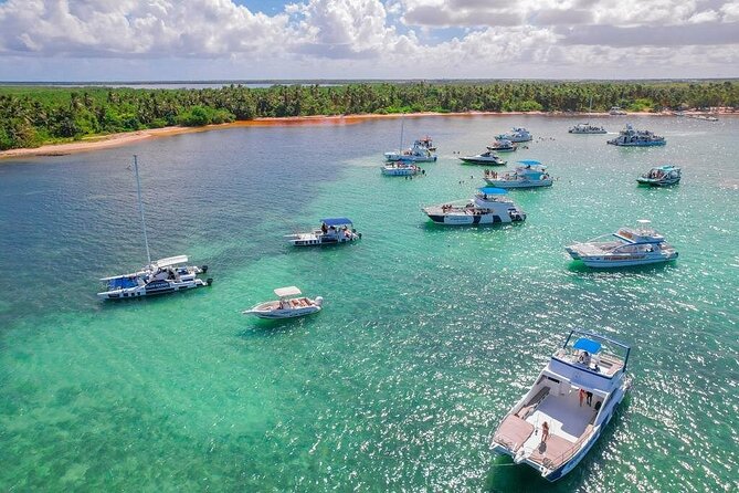 Puerto Plata Private Party Boat and Snorkeling Adventure - Drinks and Food: Open Bar Energy Plus Simple Snacks That Actually Work