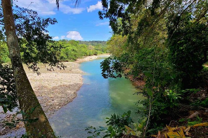 Puerto Plata Rejoya River Excursion Amber Cove Taino Bay Hotels - Puerto Plata’s La Rejoya River: a waterfall day with a real workout