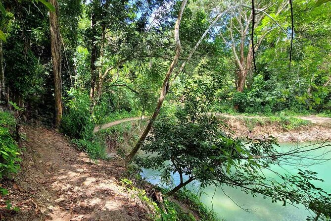 Puerto Plata Rejoya River Excursion Amber Cove Taino Bay Hotels - Waterfall time at La Rejoya River: swimming, sound, and space