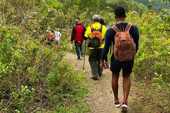 Puerto Plata Rejoya River Excursion Amber Cove Taino Bay Hotels - Who should book this excursion in Puerto Plata